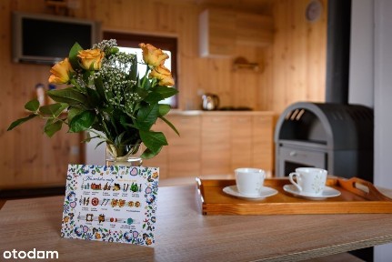 Ranczo Natura Wiele Wybudowanie na sprzedaż.