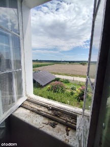 Siedlisko na sprzedaż, Stary Paczków gm. Paczków