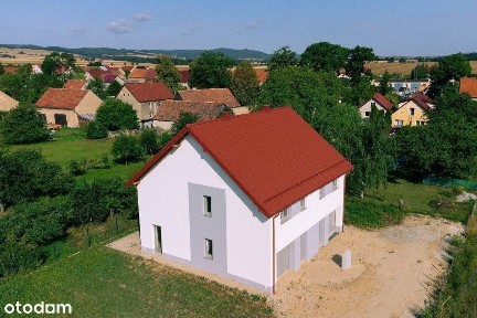 Wspaniała połówka bliźniaka Paszowice