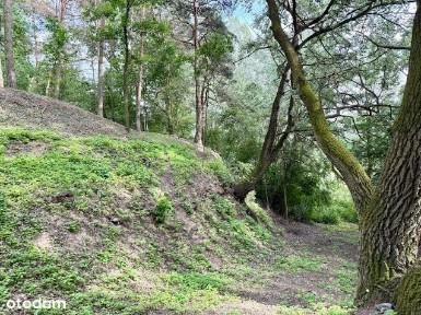 Unikatowa nieruchomość nad Wisłą*35 km do W-wy