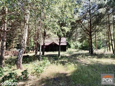 Domek w lesie 7 km od Pobierowa