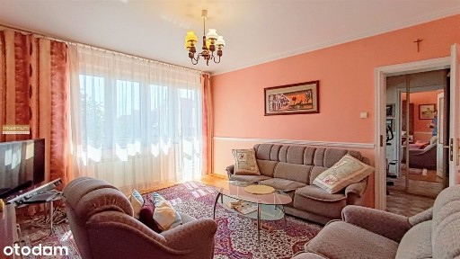 Biłgoraj, biłgorajski, lubelskie