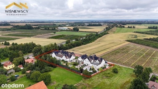 Stępień, Braniewo, braniewski, warmińsko-mazurskie