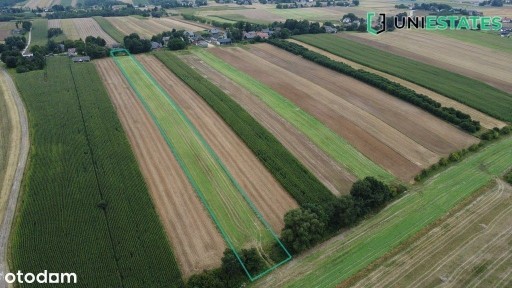 Gospodarstwo rolne| 1,12ha | Spokojna okolica