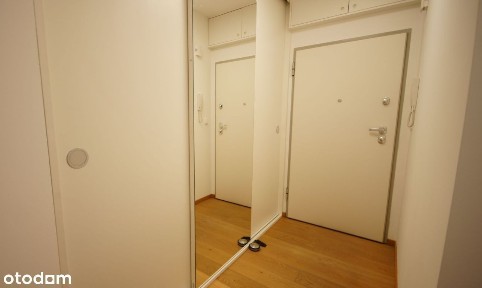 Dąb, Katowice, śląskie