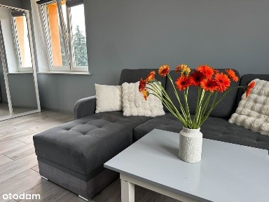 Kawalerka w bardzo dobrym stanie, 3 min od centrum