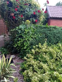 Wyjątkowa nieruchomość w sercu natury!