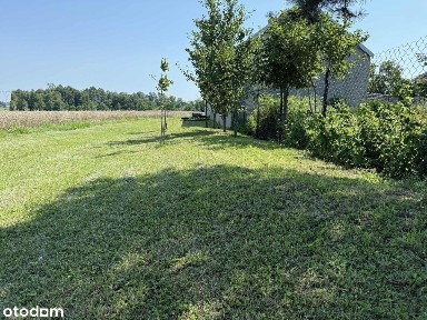 Siedlisko w mazowieckiej wsi