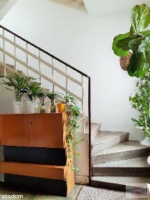 Dom, 146 m², Łódź