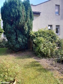 Różany Potok, Stare Miasto, Poznań, wielkopolskie