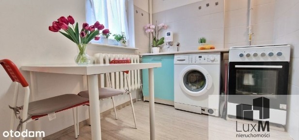 Mieszkanie 2 pokojowe na wysokim parterze 46,50m2