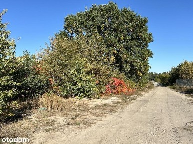 ul. Nadwiślańska, Józefów, otwocki, mazowieckie