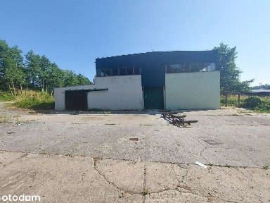 Krosno Odrzańskie, krośnieński, lubuskie