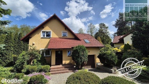 Najlepsza lokalizacja w mieście!