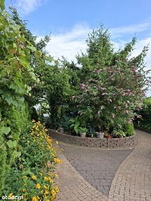 Rezerwacja! Sprzedam dom dwurodzinny.Pompa ciepła, ogród zimowy