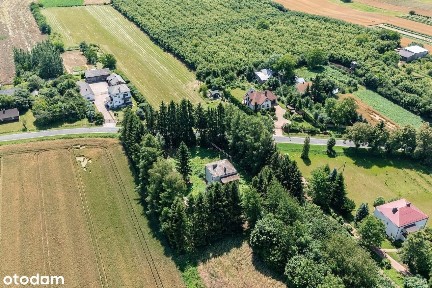Dom z hektarem ziemi + możliwość dokupienia jeszcze 3 h : )