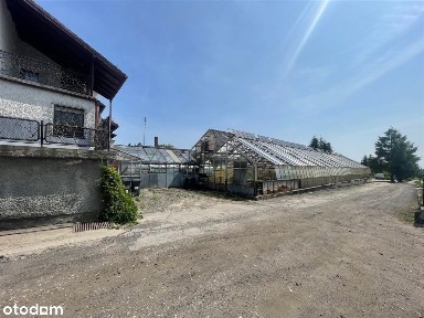 Dom, 200 m², Leśnica