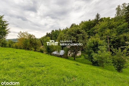 Dom wolnostojący, Duża działka, Do remontu