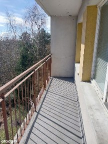 Mielec, mielecki, podkarpackie