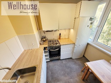 pl. Jana Pawła II, Stare Miasto, Wrocław, dolnośląskie