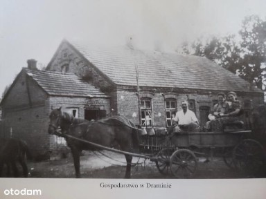 Dramin, Baboszewo, płoński, mazowieckie