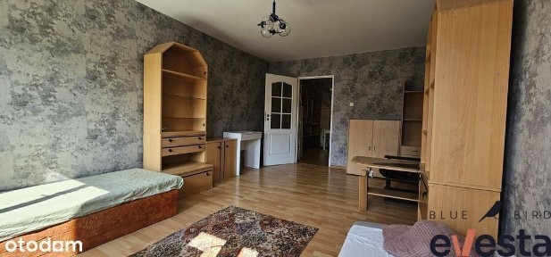 ul. Trzebnicka 5, Nadodrze, Śródmieście, Wrocław, dolnośląskie