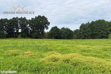 PRZEDSPRZEDAŻ DOMÓW JEDNORODZINNYCH - OSADA WIECHLICE GMINA SZPROTAWA