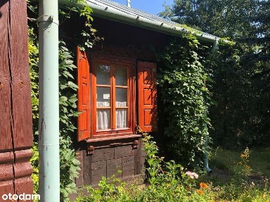 Drewniany dom kurpiowski w Puszczy Białej