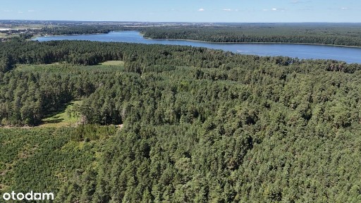 Dom, Bliźniak, Augustów, Jezioro Necko, LA