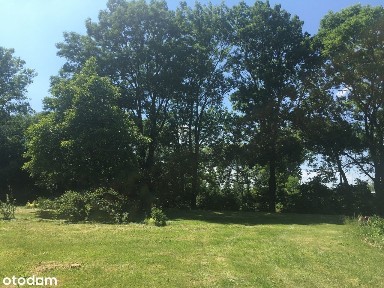 Duża działka budowlana z domem do remontu