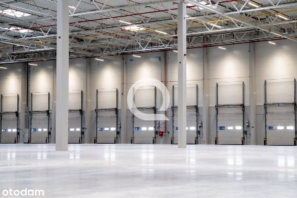 Wilda, Poznań, wielkopolskie