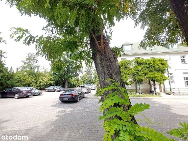 ul. Walerego Wróblewskiego, Szczepanowice - Wójtowa Wieś, Opole, opolskie