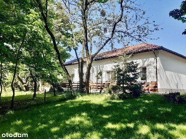 Luciny*k/Śremu z pięknym parkiem/lasem i Wz