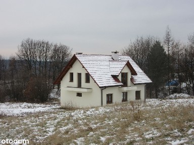 Dom z widokiem na Babią Górę i lasy