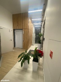 Katowice Warszawska23 lokal przeszklony, aneks całe piętro