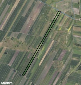 Dom wraz z gruntami na sprzedaż!