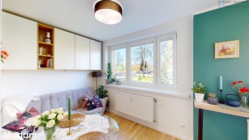 ul. Sokoła, Kopernika, Gliwice, śląskie