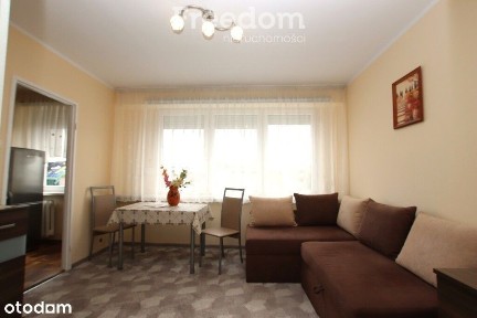 Przytulne 2 pokoje z aneksem - do wynajęcia