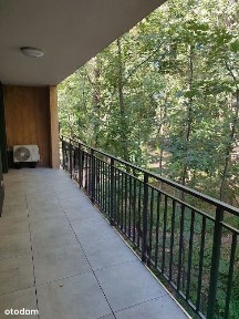 dla pierwszego najemcy!