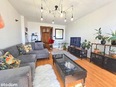 Świdnica, świdnicki, dolnośląskie