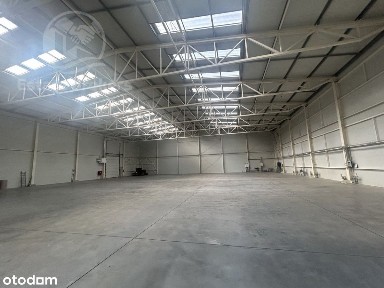 Szewce, Wisznia Mała, trzebnicki, dolnośląskie