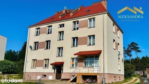 Przytulne 4-pokojowe mieszkanie z widokiem na las