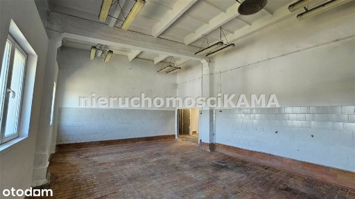 Hala/Magazyn, 55 m², Bielsko-Biała