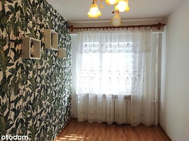 HOT oferta Przestronne zadbane 3 pokoje, blisko parku i basenu OKAZJA