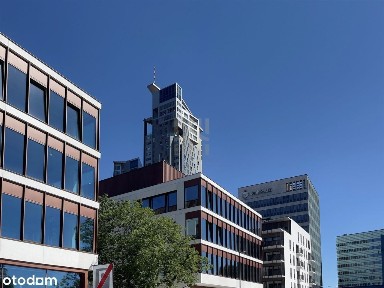 Jerzego Waszyngtona, Śródmieście, Gdynia, pomorskie