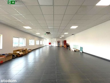 Biuro 250m2 Jasionka przy lotnisku, Zaczernie, 25zł/m2, możliwość hali