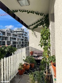 [Rezerwacja] Śliczne mieszkanie nad Odrą