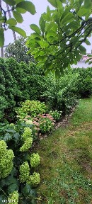 Sprzedam dom w Strzelcach Krajeńskich