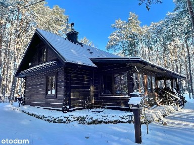 Urokliwe siedlisko w lesie nad rzeką. 45 min. od Warszawy!