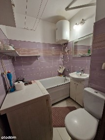 ul. Brzozowa, Kochłowice, Ruda Śląska, śląskie